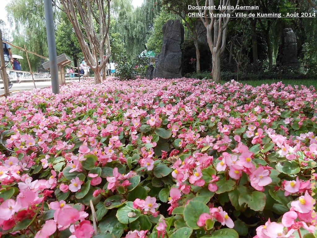 169- Alexia Germain- Kunming .JPG
